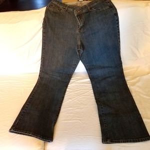 Lane Bryant Plus Jeans